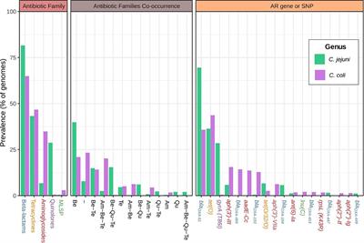 Whole Resistome Analysis in Campylobacter jejuni and C. coli Genomes Available in Public Repositories